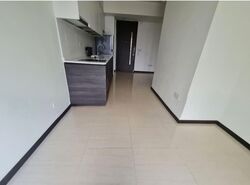 Sims Urban Oasis (D14), Condominium #556974021